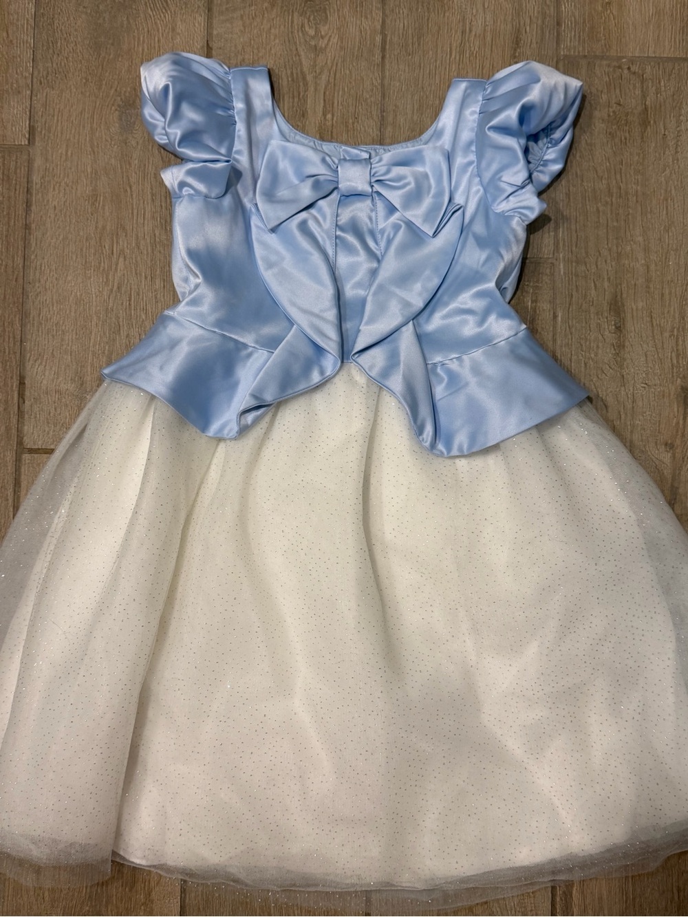 Janie and Jack Disney Cinderella Dress